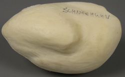 Alpenschneehuhn / Schneehuhn