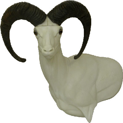 Mouflon