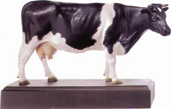 Model of Fresian Dutch Cow