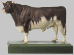 Shorthorn-Bull »Roan Sam«