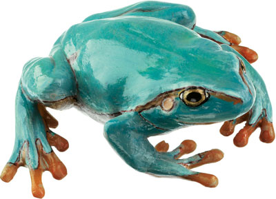 European Common Tree Frog